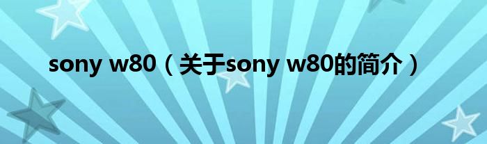 sony w80（关于sony w80的简介）