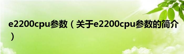 e2200cpu参数（关于e2200cpu参数的简介）