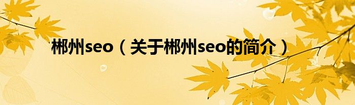 郴州seo（关于郴州seo的简介）