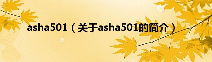 asha501（关于asha501的简介）