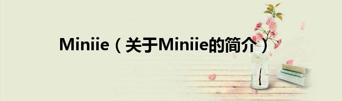 Miniie（关于Miniie的简介）