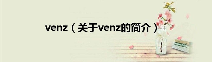 venz（关于venz的简介）