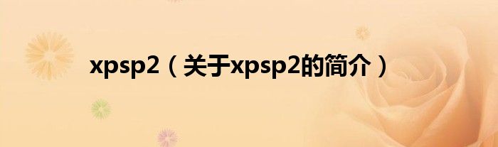 xpsp2（关于xpsp2的简介）