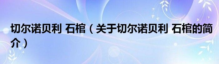 切尔诺贝利 石棺（关于切尔诺贝利 石棺的简介）