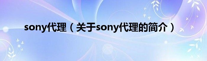 sony代理（关于sony代理的简介）