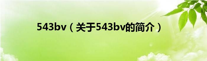 543bv（关于543bv的简介）