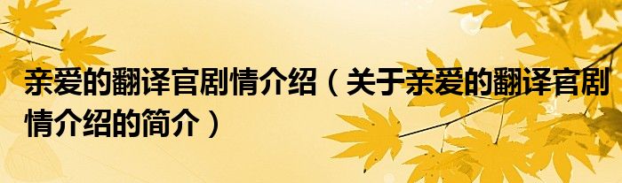 亲爱的翻译官剧情介绍（关于亲爱的翻译官剧情介绍的简介）