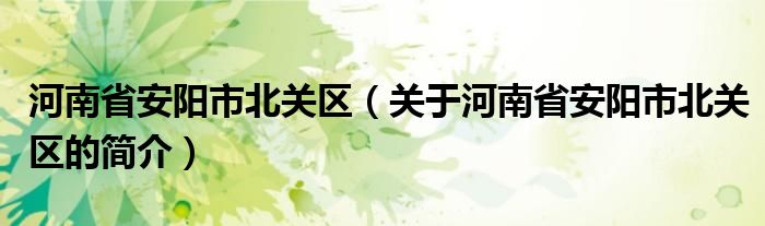 河南省安阳市北关区（关于河南省安阳市北关区的简介）