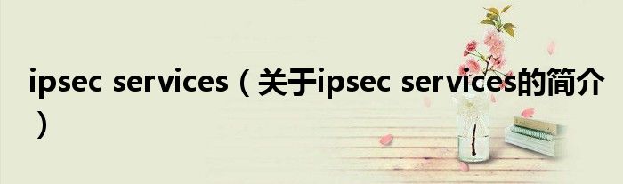 ipsec services（关于ipsec services的简介）