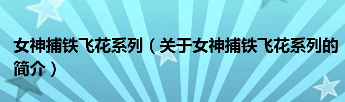 女神捕铁飞花系列（关于女神捕铁飞花系列的简介）