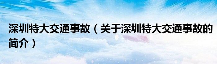 深圳特大交通事故（关于深圳特大交通事故的简介）