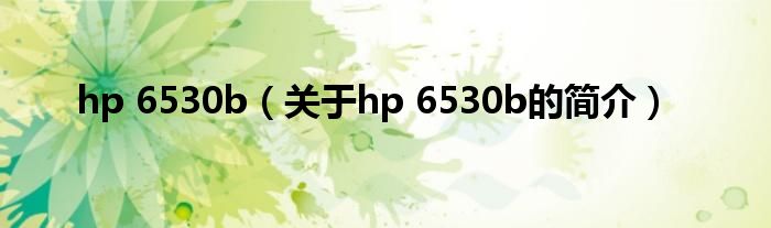 hp 6530b（关于hp 6530b的简介）