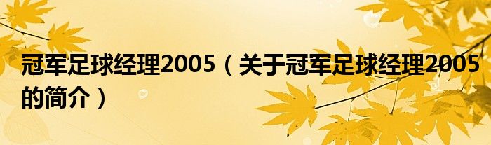 冠军足球经理2005（关于冠军足球经理2005的简介）