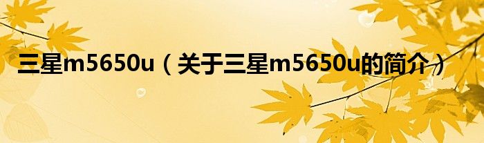 三星m5650u（关于三星m5650u的简介）