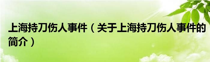 上海持刀伤人事件（关于上海持刀伤人事件的简介）