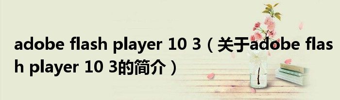 adobe flash player 10 3（关于adobe flash player 10 3的简介）