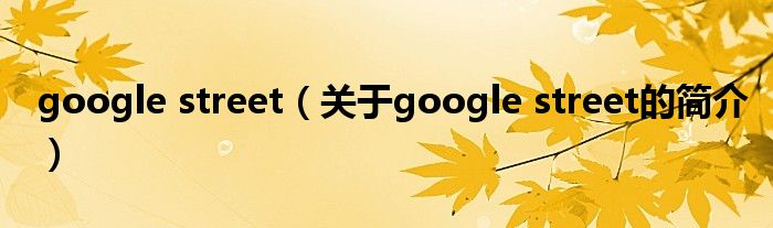 google street（关于google street的简介）