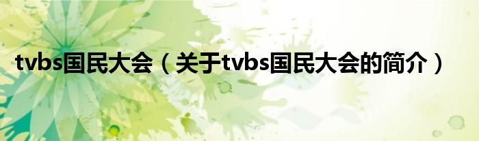 tvbs国民大会（关于tvbs国民大会的简介）