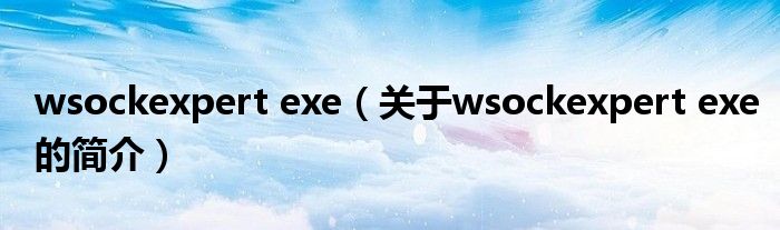 wsockexpert exe（关于wsockexpert exe的简介）