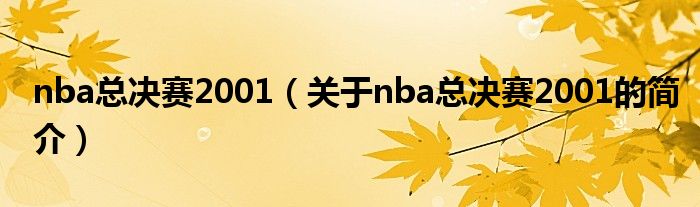 nba总决赛2001（关于nba总决赛2001的简介）