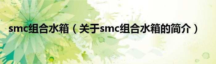 smc组合水箱（关于smc组合水箱的简介）