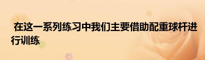  在这一系列练习中我们主要借助配重球杆进行训练