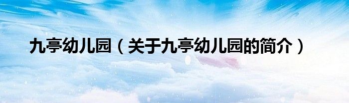 九亭幼儿园（关于九亭幼儿园的简介）