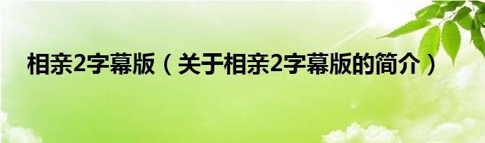 相亲2字幕版（关于相亲2字幕版的简介）