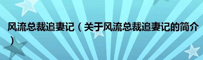 风流总裁追妻记（关于风流总裁追妻记的简介）