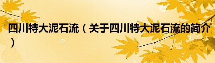 四川特大泥石流（关于四川特大泥石流的简介）