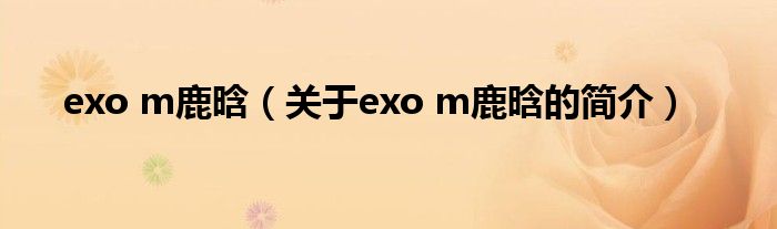 exo m鹿晗（关于exo m鹿晗的简介）