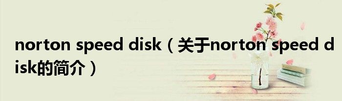 norton speed disk（关于norton speed disk的简介）