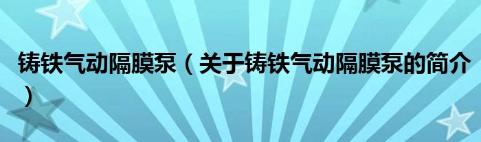 铸铁气动隔膜泵（关于铸铁气动隔膜泵的简介）