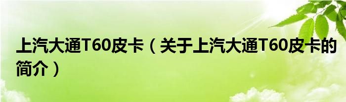 上汽大通T60皮卡（关于上汽大通T60皮卡的简介）