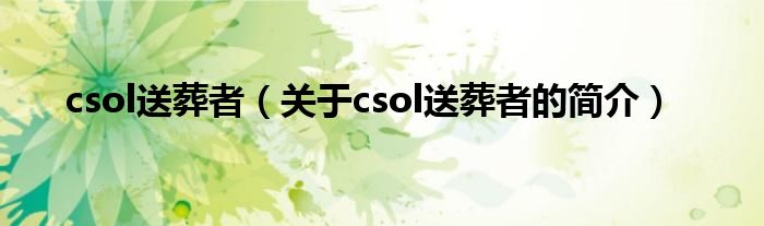 csol送葬者（关于csol送葬者的简介）