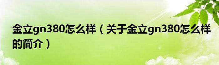 金立gn380怎么样（关于金立gn380怎么样的简介）