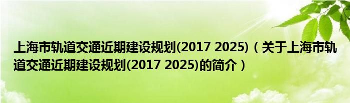 上海市轨道交通近期建设规划(2017 2025)（关于上海市轨道交通近期建设规划(2017 2025)的简介）