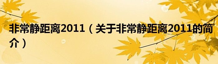 非常静距离2011（关于非常静距离2011的简介）