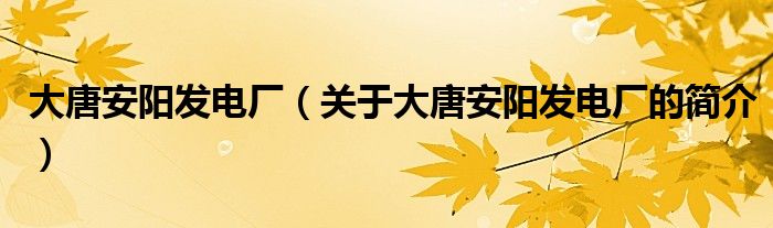 大唐安阳发电厂（关于大唐安阳发电厂的简介）