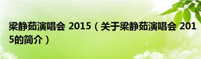 梁静茹演唱会 2015（关于梁静茹演唱会 2015的简介）