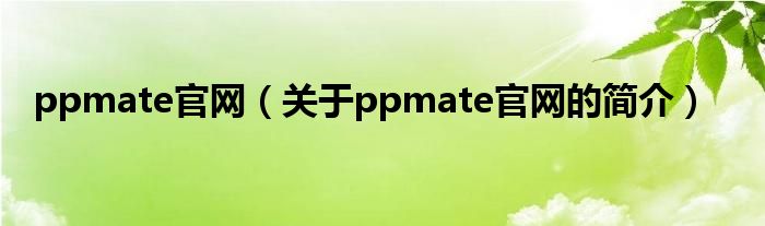 ppmate官网（关于ppmate官网的简介）