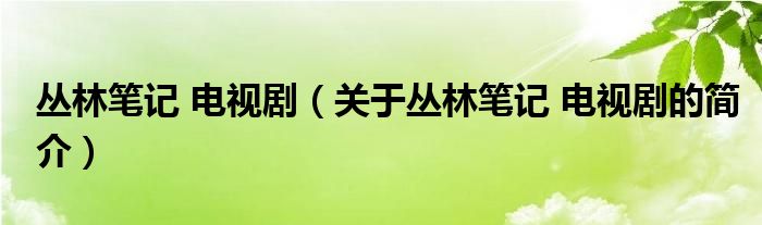 丛林笔记 电视剧（关于丛林笔记 电视剧的简介）