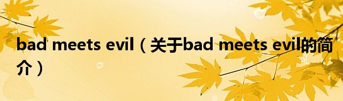 bad meets evil（关于bad meets evil的简介）