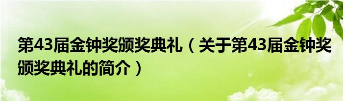 第43届金钟奖颁奖典礼（关于第43届金钟奖颁奖典礼的简介）