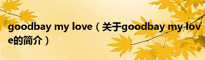 goodbay my love（关于goodbay my love的简介）