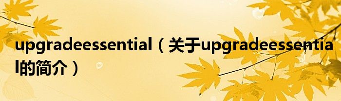 upgradeessential（关于upgradeessential的简介）