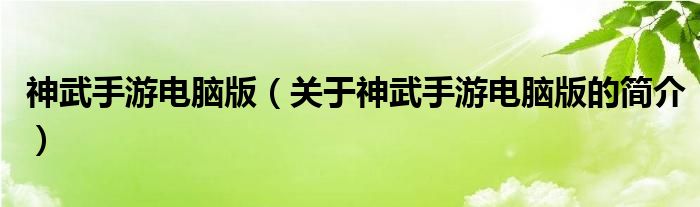 神武手游电脑版（关于神武手游电脑版的简介）