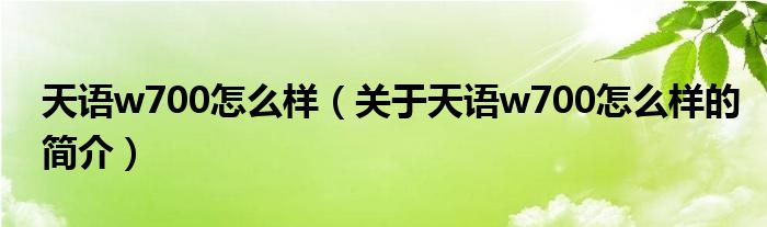 天语w700怎么样（关于天语w700怎么样的简介）