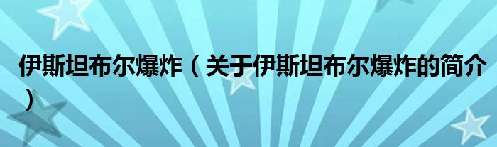 伊斯坦布尔爆炸（关于伊斯坦布尔爆炸的简介）