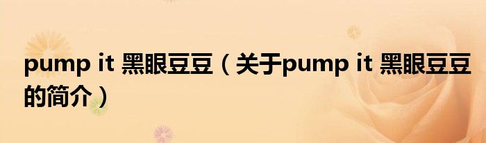 pump it 黑眼豆豆（关于pump it 黑眼豆豆的简介）